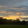 ester_12345